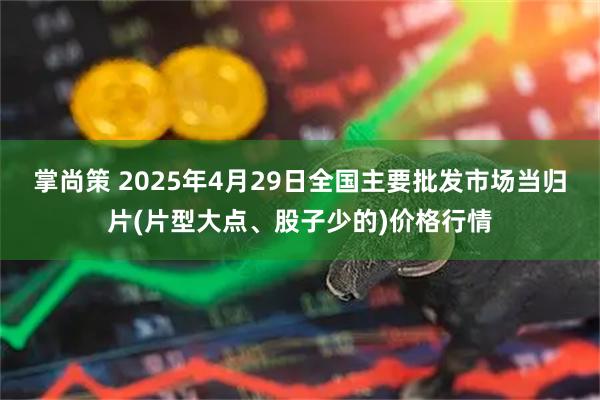 掌尚策 2025年4月29日全国主要批发市场当归片(片型大点、股子少的)价格行情