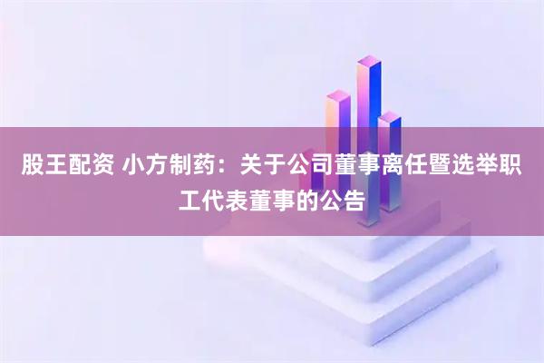 股王配资 小方制药：关于公司董事离任暨选举职工代表董事的公告
