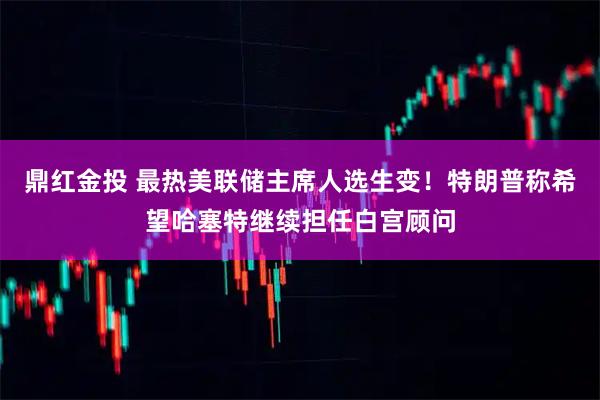 鼎红金投 最热美联储主席人选生变！特朗普称希望哈塞特继续担任白宫顾问